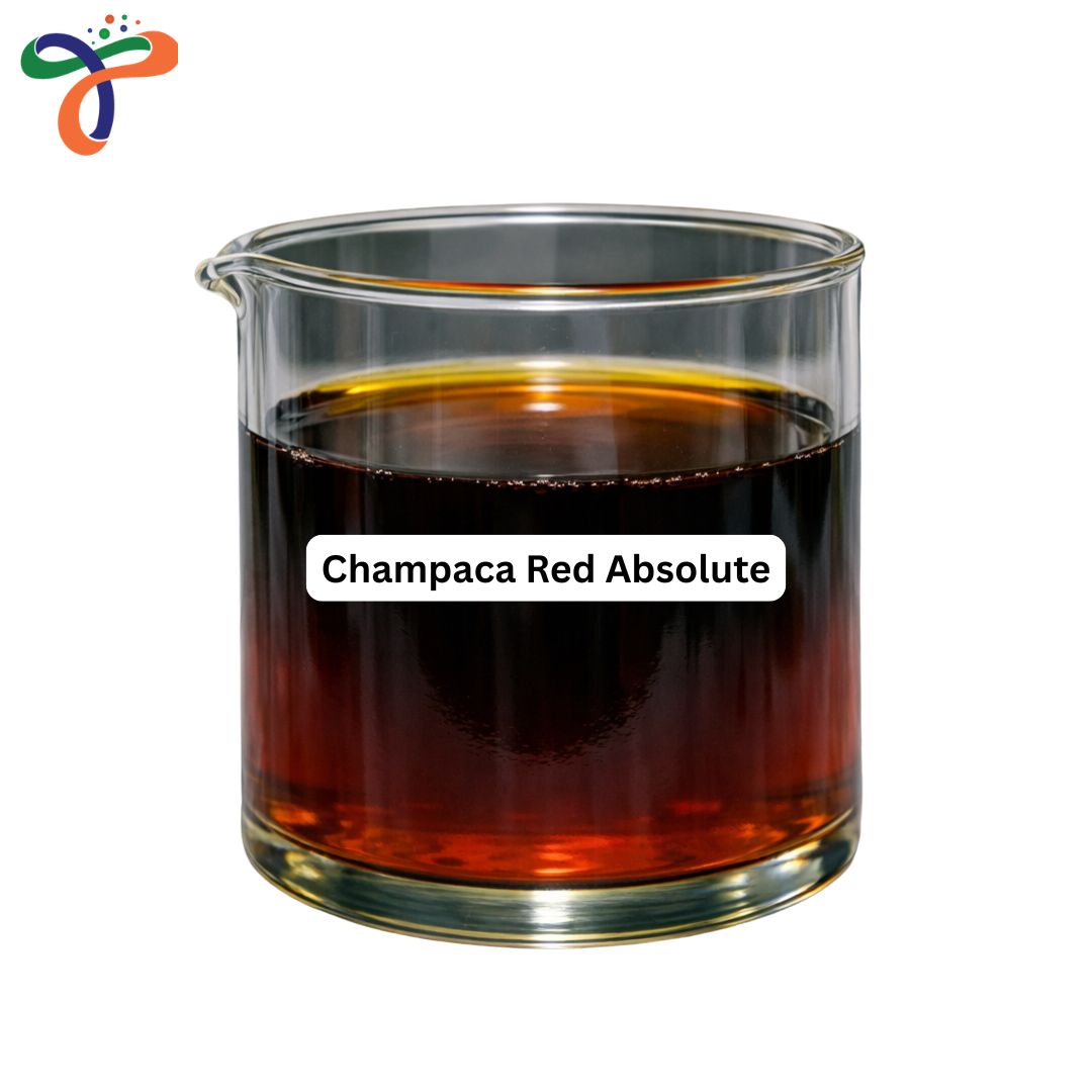 Champaca Red Absolute